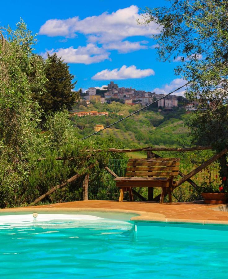 Agriturismomillefiori Manciano Luaran gambar